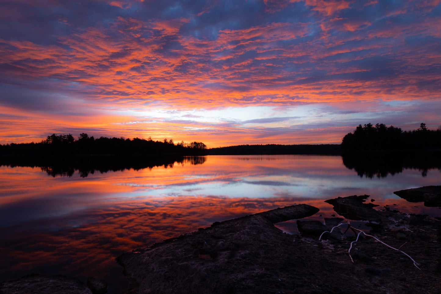 Kindle - Canvas Giclee Print